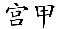 宫甲的解释