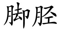 脚胫的解释