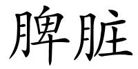 脾脏的解释