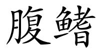 腹鳍的解释