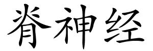 脊神经的解释