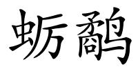 蛎鹬的解释