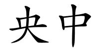 央中的解释