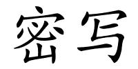 密写的解释