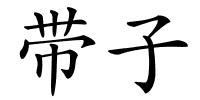 带子的解释
