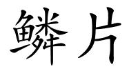 鳞片的解释