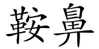 鞍鼻的解释