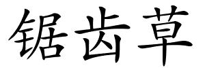 锯齿草的解释