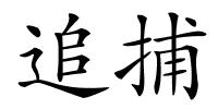 追捕的解释