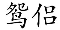 鸳侣的解释