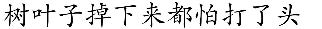 树叶子掉下来都怕打了头的解释