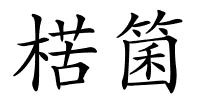 楛箘的解释