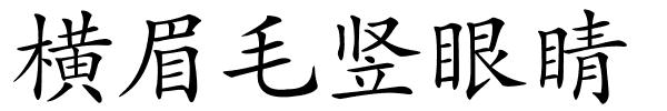 横眉毛竖眼睛的解释