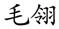 毛翎的解释