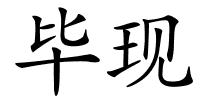 毕现的解释
