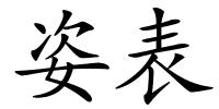 姿表的解释