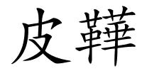 皮鞾的解释