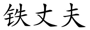 铁丈夫的解释