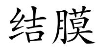 结膜的解释