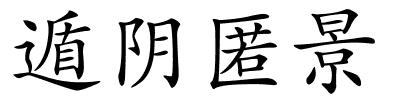 遁阴匿景的解释