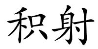 积射的解释