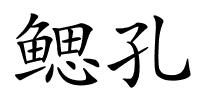 鳃孔的解释