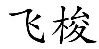 飞梭的解释