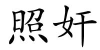 照奸的解释