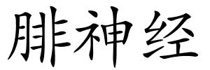 腓神经的解释