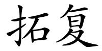 拓复的解释