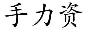 手力资的解释