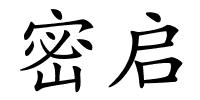 密启的解释