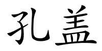 孔盖的解释