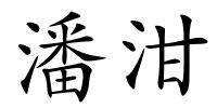 潘泔的解释