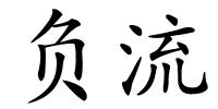 负流的解释