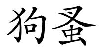 狗蚤的解释