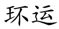 环运的解释