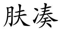 肤凑的解释