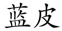 蓝皮的解释