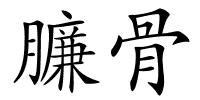 臁骨的解释