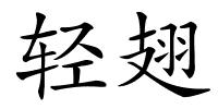 轻翅的解释