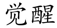 觉醒的解释