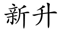 新升的解释