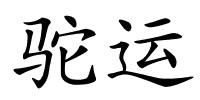 驼运的解释