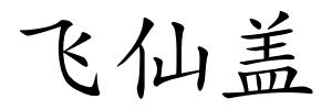 飞仙盖的解释