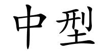中型的解释