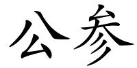 公参的解释