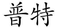 普特的解释