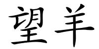 望羊的解释