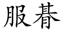 服朞的解释